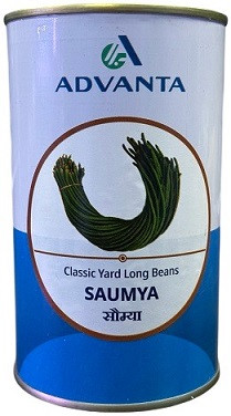 Advanta SAUMYA Classic Yard Long Bean Seeds – High‑Yield Hybrid Variety (300g)