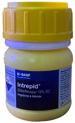 BASF Intrepid Insecticide – Chlorfenapyr 10% SC Insecticide & Miticide (100ml)