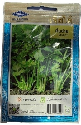 Chia Tai Home Garden Round Celery Seeds – Crisp, Aromatic Variety