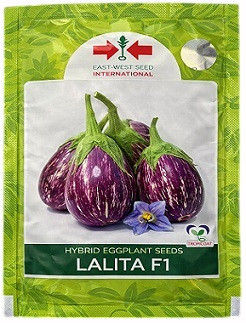 East West Lalita F1 Hybrid Brinjal Seeds – 50g | High‑Yield Purple Eggplant Variety