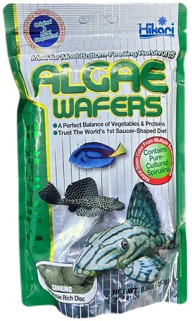 Hikari Algae Wafers – Floating Disc Food for Plecos & Herbivorous Fish