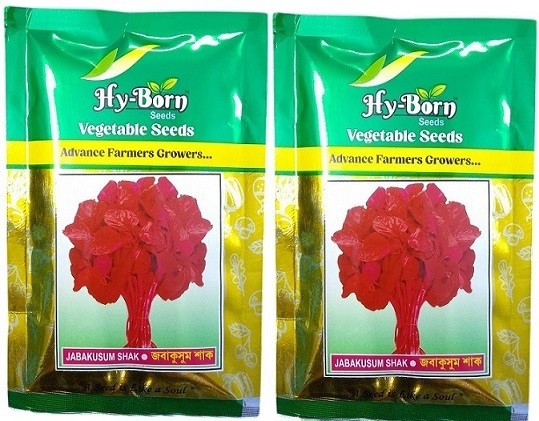 Hy Born Hybrid Jabakusum Shak Seeds – Vigorous Growth, Tender Red Leaves, High Yield | 200g Pack