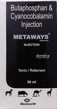 Vet Mankind Metaways