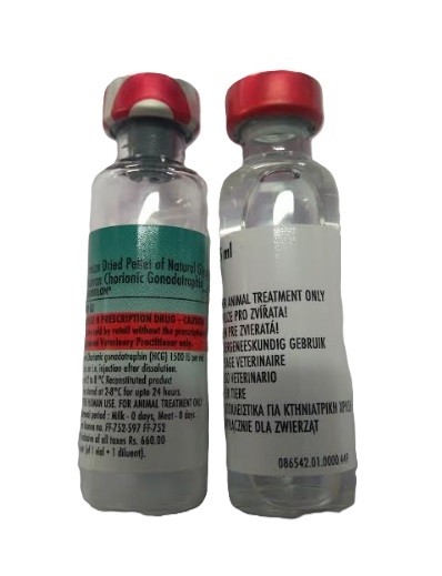 MSD Animal Health Chorulon