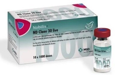 MSD Animal Health Nobilis ND Clone 30 Live