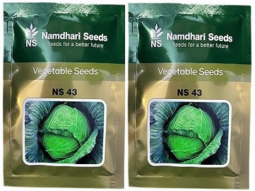 Namdhari NS 43 F1 Hybrid Cabbage Seeds | High‑Yield Green Cabbage Variety (4000 Seeds Pack)