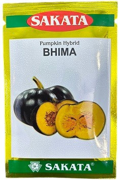 Sakata BHIMA Hybrid Pumpkin Seeds – High‑Yield Pumpkin Variety (40g)