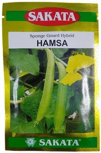 Sakata Hamsa Hybrid Sponge Gourd Seeds – High Yield, Uniform Fruits, Tropical Climate Performer | 40g Pack
