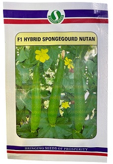 Sungro Seeds Nutan F1 Hybrid Sponge Gourd Seeds – 100g | High‑Yield Luffa Variety