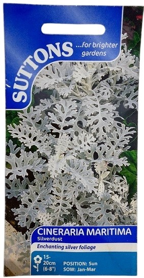 Suttons Cineraria Maritima Silverdust Seeds