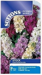 Suttons Stock Giant Perfection Mix – 180 Seeds Fragrant Cut Flower Seeds
