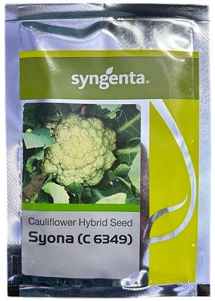 Syngenta C6349 Syona Hybrid Cauliflower Seeds – High Yield & Disease Resistant Variety (10g/ 2000 Seeds Pack)