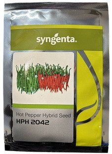 Syngenta HPH 2042 Hybrid Hot Pepper Seeds – 7.7g / 1500 Seeds Pack | High-Yield Green Chilli Hybrid