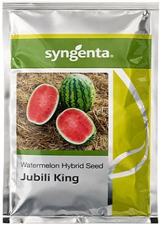 Syngenta Jubili King Watermelon Hybrid Seeds – 1000 Seeds Pack | High‑Yield Red Flesh Variety