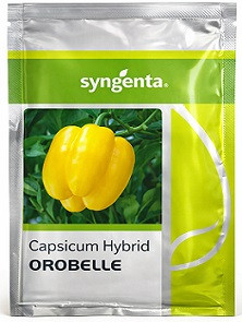 Syngenta Orobelle Hybrid Capsicum Seeds – 1000 Seeds Pack | High‑Yield Yellow Bell Pepper Variety