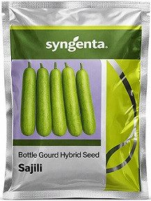 Syngenta Sajili Hybrid Bottle Gourd Seeds – 100g | High‑Yield Green Bottle Gourd Variety
