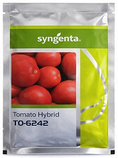 Syngenta TO 6242 Hybrid Tomato Seeds – 3000 Seeds Pack | High‑Yield Red Tomato Variety