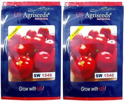 US Agriseeds SW 1546 Hybrid Tomato Seeds – Indeterminate, High-Yield, Disease-Resistant | 10g Pack
