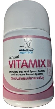 White Crane Vitamix