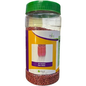 Acsen Hyveg Red Angel OP Radish Seeds – 500g | High‑Yield Open Pollinated Variety