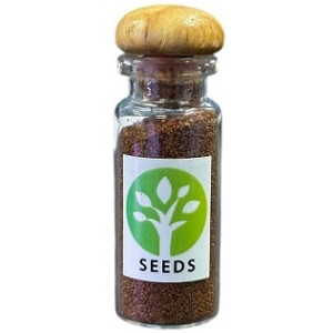 ADA DOAqua Glossostigma Elatinoides Seeds – Authentic Japan-Made Aquatic Plant Pack in Jar