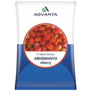Advanta Abhimanyu F1 Hybrid Tomato Seeds – 10g | High‑Yield Red Tomato Variety