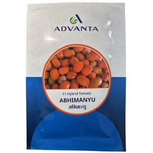 Advanta Abhimanyu F1 Hybrid Tomato Seeds – 10g | High‑Yield Red Tomato Variety