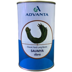 Advanta SAUMYA Classic Yard Long Bean Seeds – High‑Yield Hybrid Variety (300g)