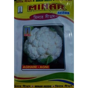 MINAR AGNI Cauliflower Vegetable Seeds