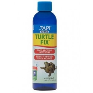 API Turtle Fix 