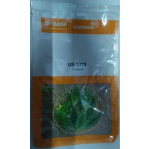 BASF nunhems US 1315 F1 Hybrid Bitter Gourd Seeds