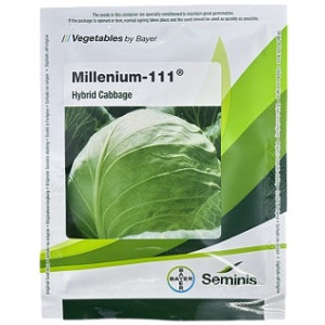 Bayer Seminis Millenium 111 Hybrid Cabbage Seeds – 20g | High‑Yield Green Cabbage Variety