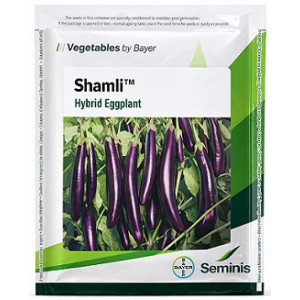 Bayer Seminis Shamli Hybrid Brinjal Seeds – 40g | High‑Yield Long Purple Variety