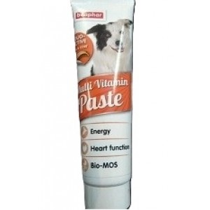 Beaphar Duo Active Multi Vitamin Paste