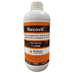 Brihans Recovit Multivitamin Supplement 1L