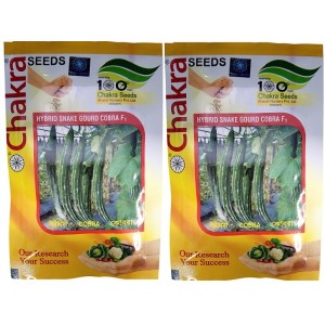 Chakra Snake Gourd Cobra F1 Hybrid Seeds