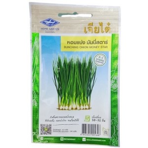 Chia Tai Home Garden Bunching Onion Money Star Seeds