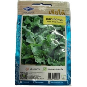 Chia Tai Home Garden Kale Mushrooms Seeds – Premium Hybrid Seeds