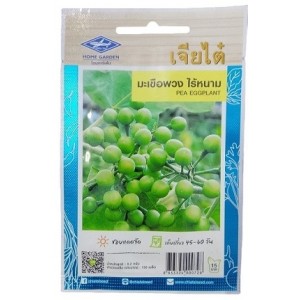 Chia Tai Home Garden Pea Eggplant Seeds