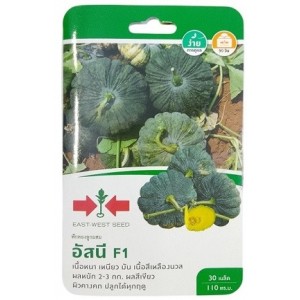 East West Seed Hybrid Pumpkin Asanee F1 Seeds