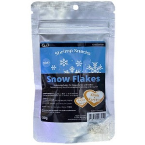 Glasgarten Snow Flakes Pumpkin Carrot