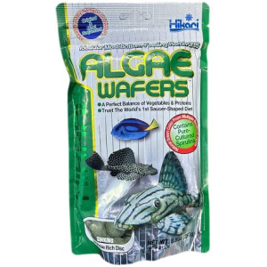 Hikari Algae Wafers – Floating Disc Food for Plecos & Herbivorous Fish