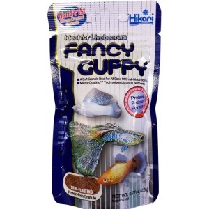Hikari Fancy Guppy