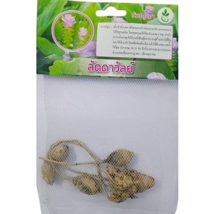Dynamic Seeds Laddawan Curcuma Big Bulb