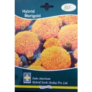 Hybrid Inca Orange Marigold Flower Seeds