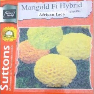 Hybrid AFRICAN INCA Marigold Flower Seeds