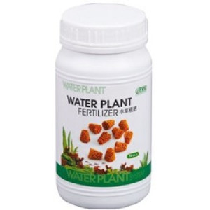 ISTA Water Plant Fertilizer Ball – Long-Lasting Nutrient Boost for Aquatic Plants (20 & 50 Pack)
