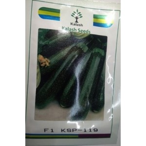 Kalash Seeds F1 KSP 119 Long Dark Green Zucchini Squash