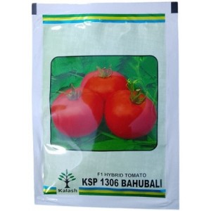 Kalash Seeds F1 KSP 1306 Bahubali Hybrid Tomato Seeds – High-Yielding, Virus-Resistant F1 Variety for All Seasons