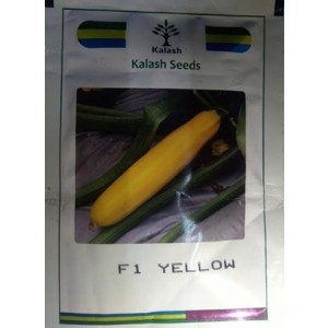 Kalash Seeds F1 KSP 16 Yellow Zucchini Squash